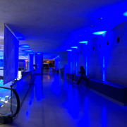 CHAUVET_LOUVRE_WELLFIT_VIGNETTE180px