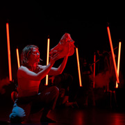 Astera Titan Sa majeste des mouches