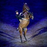 Robert_Juliat_Gala_Le_Cadre_Noir_de_Saumur_Photo_B_Lemaire_IFCE